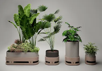 Plants